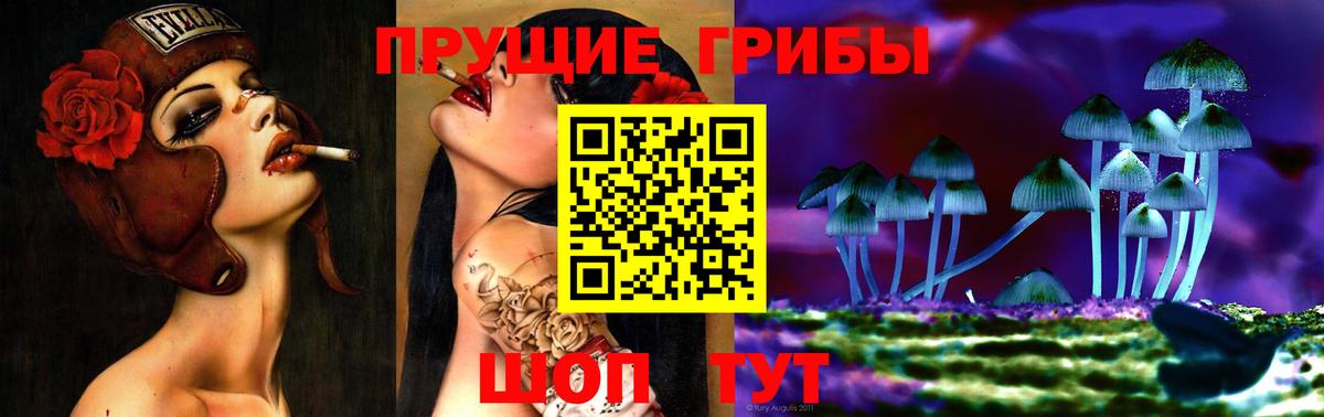 Галлюциногенные грибы Psilocybine cubensis Кохма