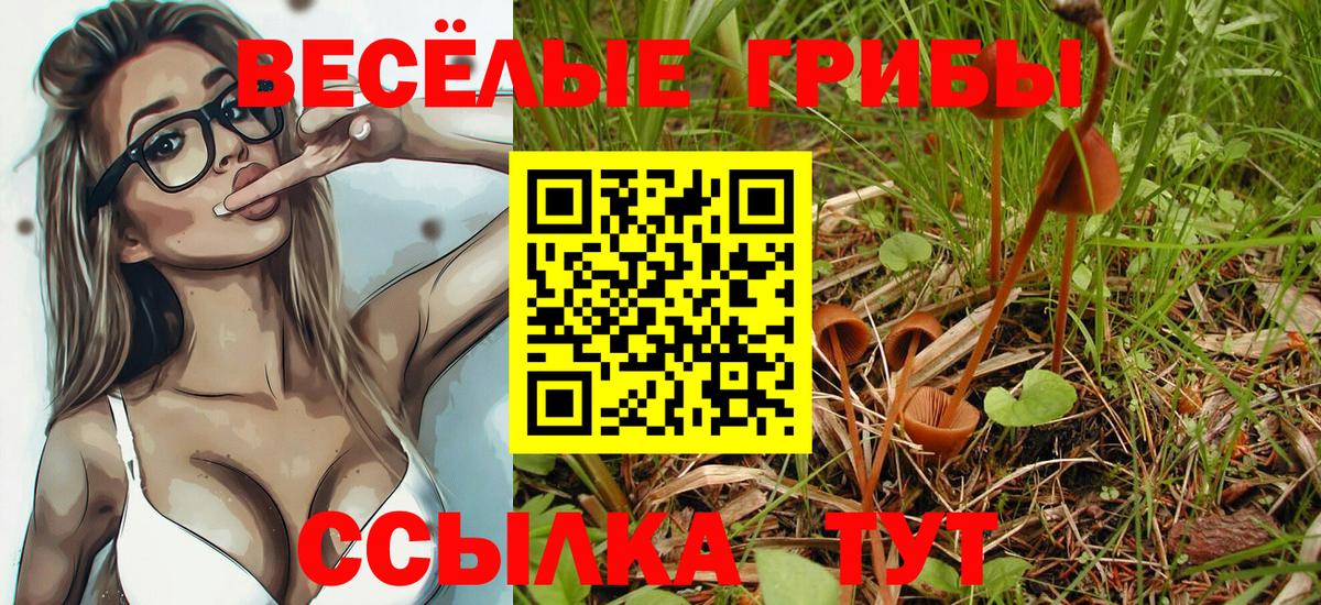 Кохма  Галлюциногенные грибы Psilocybine cubensis  Псилоцибиновые грибы MAGIC MUSHROOMS  Вход с VPN 