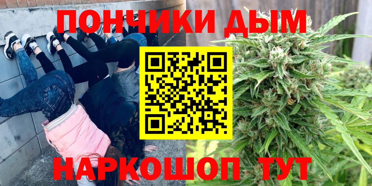 Канабис семена Кохма